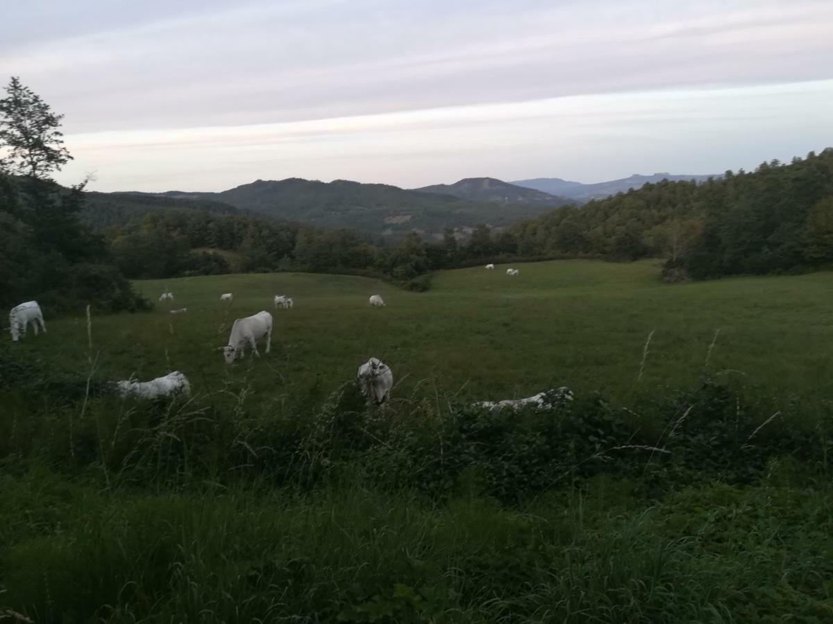 Da Santina Appartement Pieve Santo Stefano Buitenkant foto